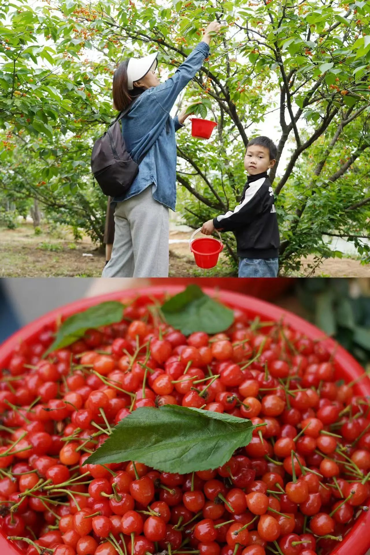 从徐州经开区出发，遇见“经”彩五一！