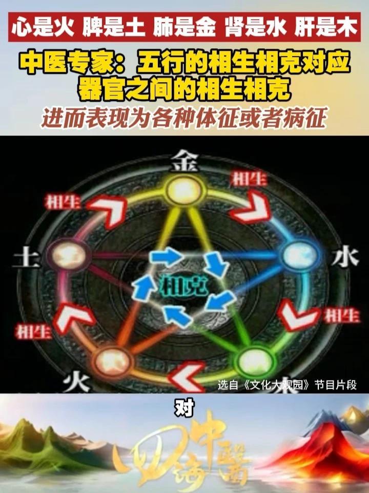 心是火 脾是土 肺是金 肾是水 肝是木 五行的相生相克对应器官之间的相生相克 进而表现为各种体征或者病征#四海中医