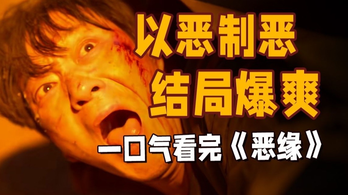 当坏人互相折磨，好人就看爽了！《恶缘》全员恶人，无限反转