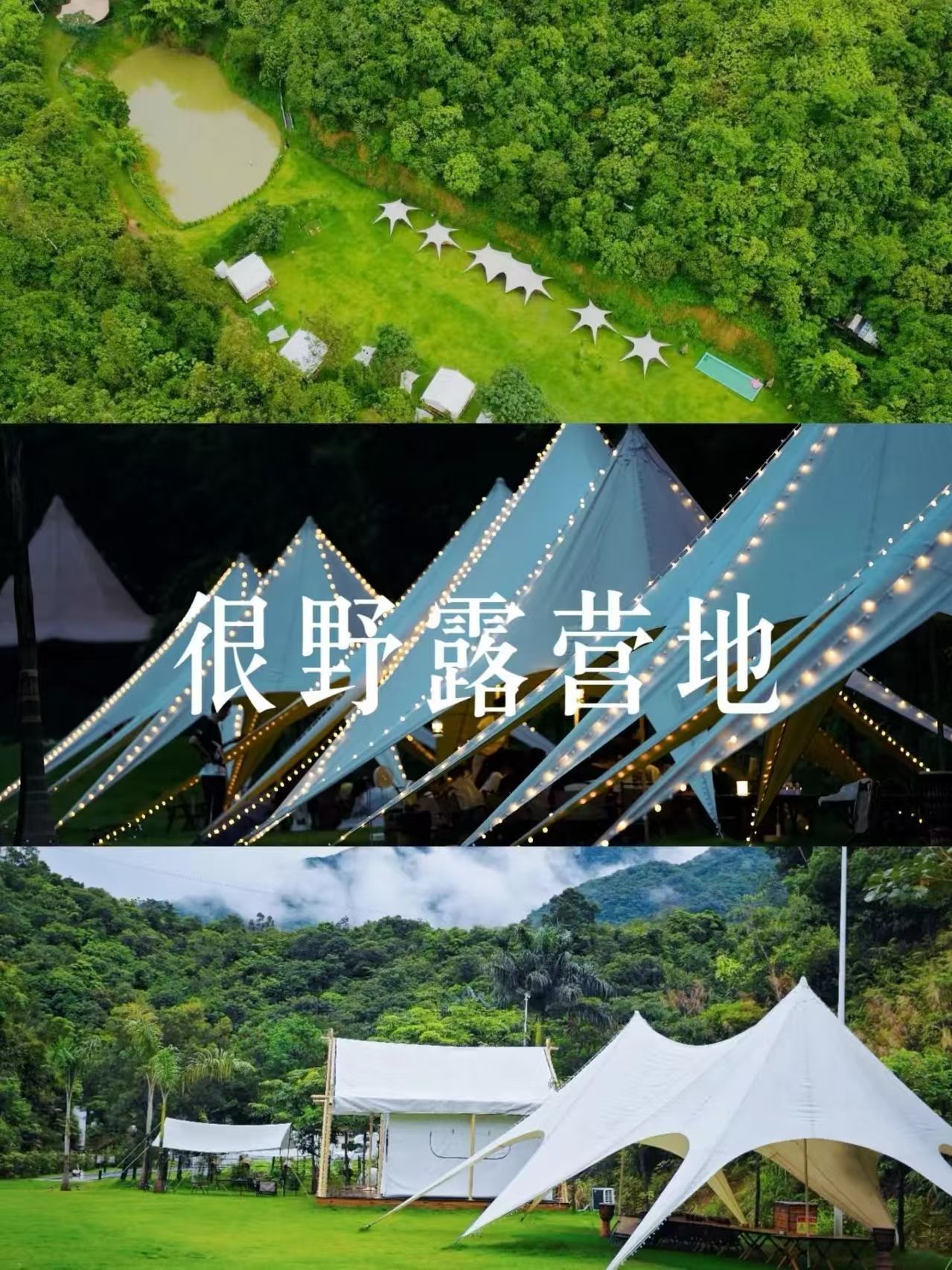 来这里，接住整个春天