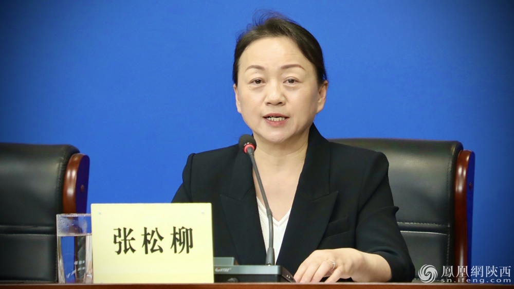 陕西省委宣传部二级巡视员张松柳