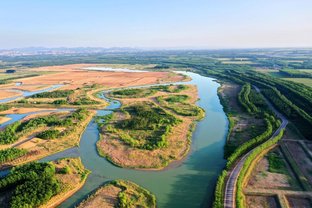齐河黄河水乡国家湿地公园。（齐河县委宣传部供图）