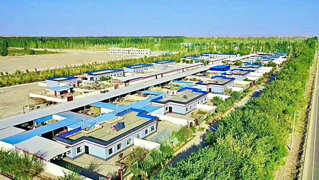 民族团结与乡村振兴同频共振　阿克塞咋做到的