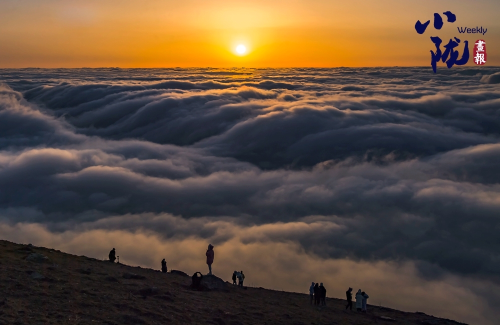 陇南千坝草原:诗意云雾 一派原始风光