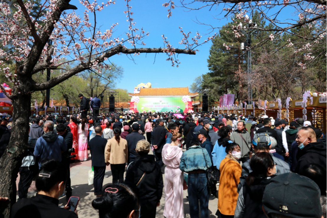 佳木斯开启杏花全域联动嘉年华！邀市民游客欢度五一——2025佳木斯五一旅游产品新闻发布会召开