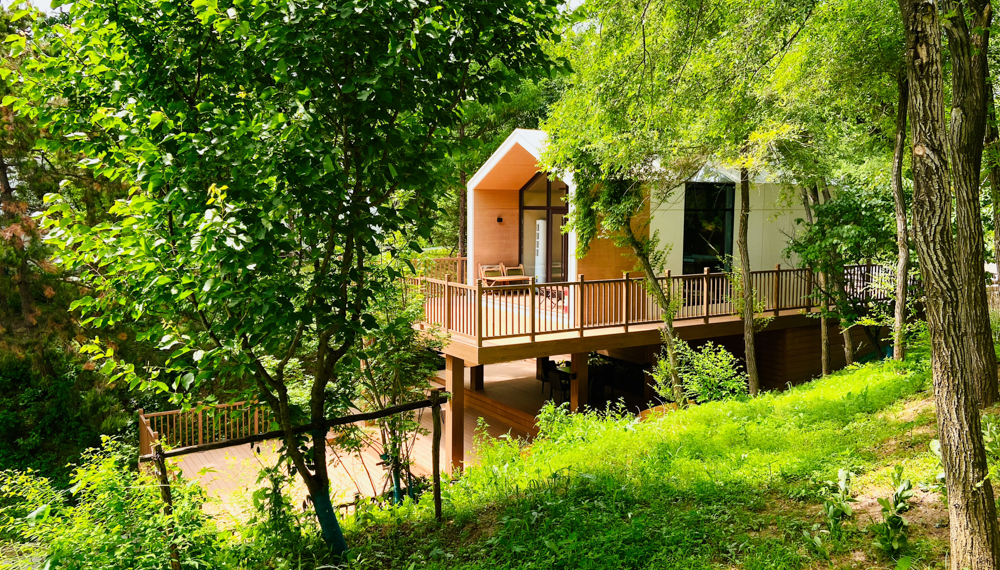 舒心度假，精彩森林——黑熊&middot;森林里度假区五一正式开园！