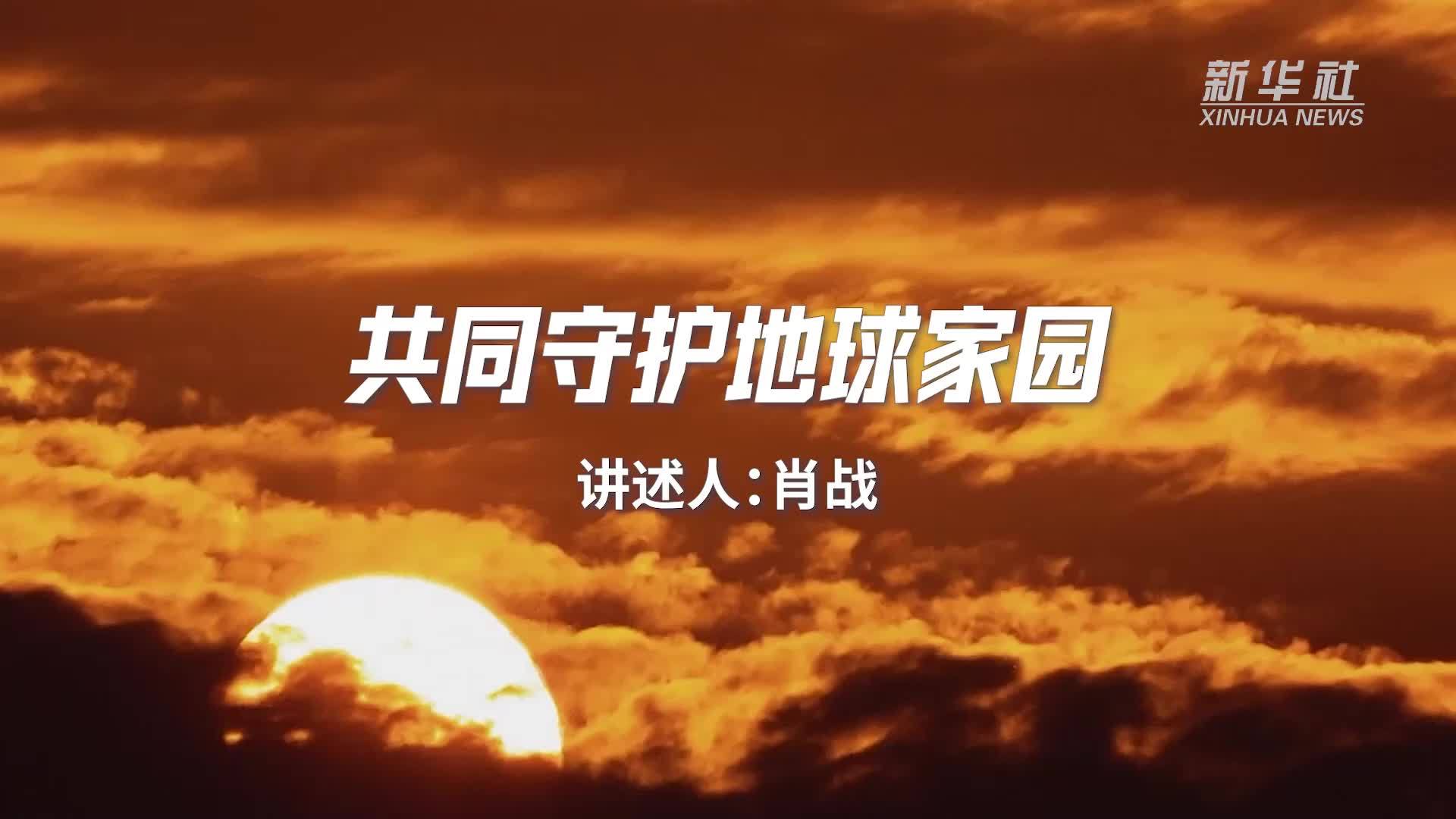 共同守护地球家园