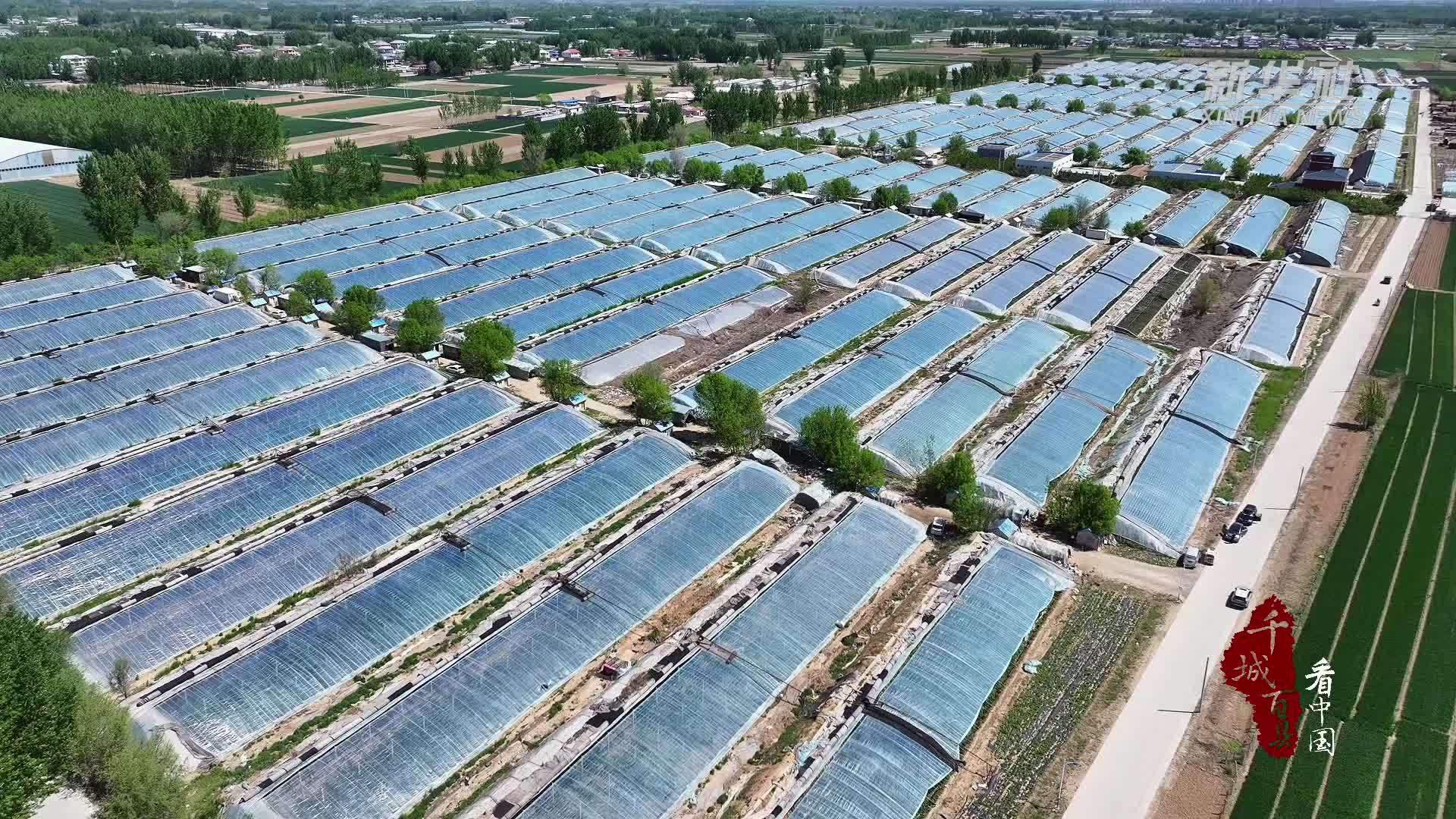 千城百县看中国｜河北涿州：瞄准北京市场 提升农产品品质与供应能力