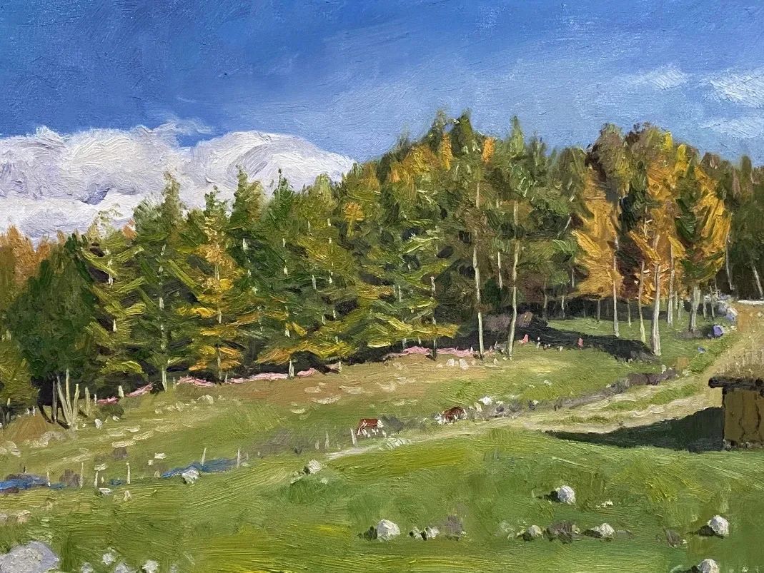 △张傅涛《空投坪秋色》