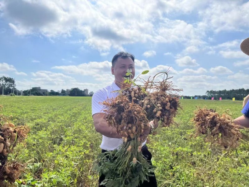 点击查看原始图片