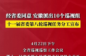 任务分工明确！经省委同意，安徽派出10个巡视组