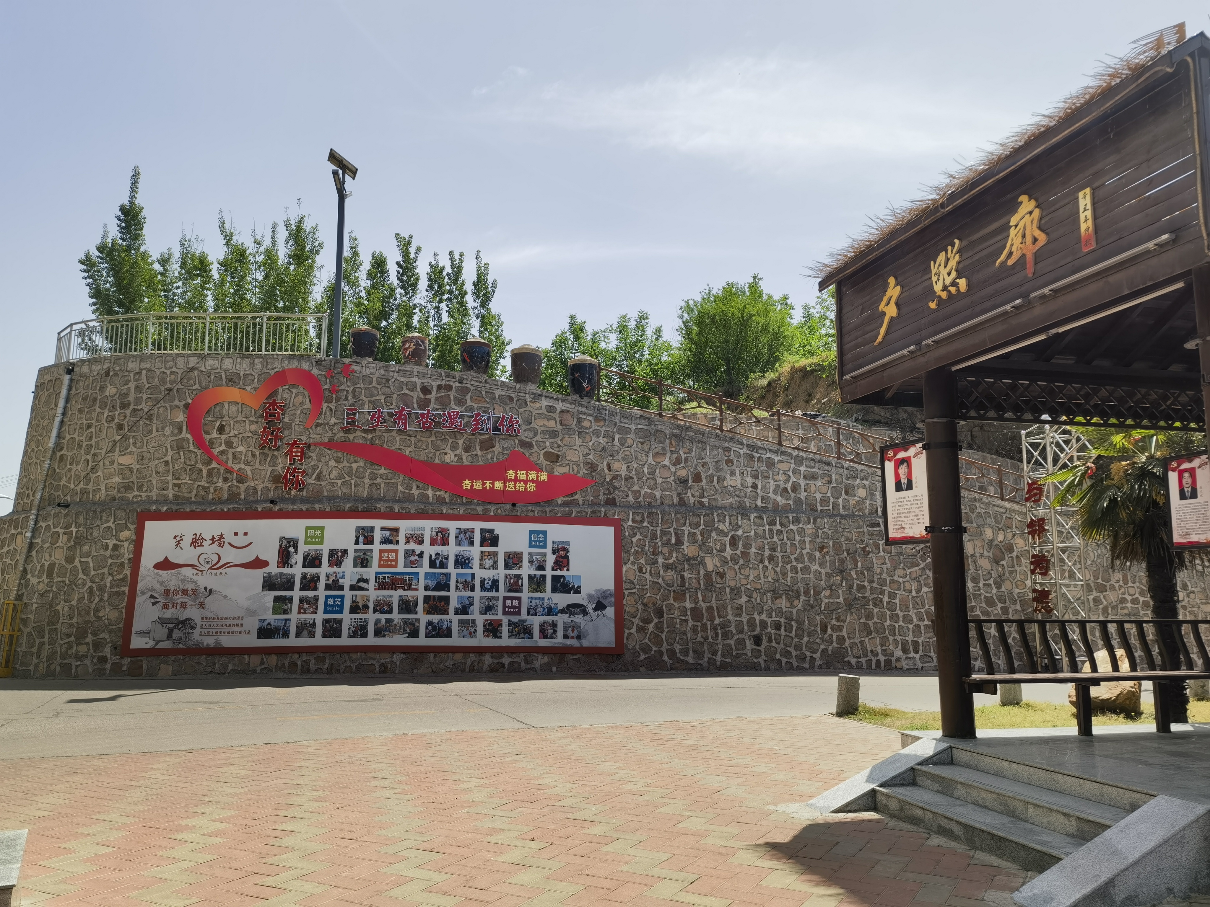 “红色网格”如何织就“乡村梦”？解码杏树岗村基层治理新范式