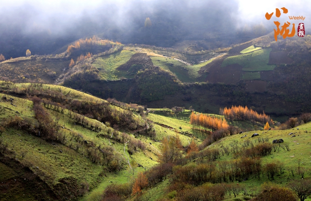 陇南千坝草原:诗意云雾 一派原始风光