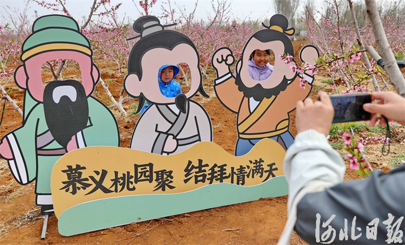 桃花灼灼醉春光1.jpeg