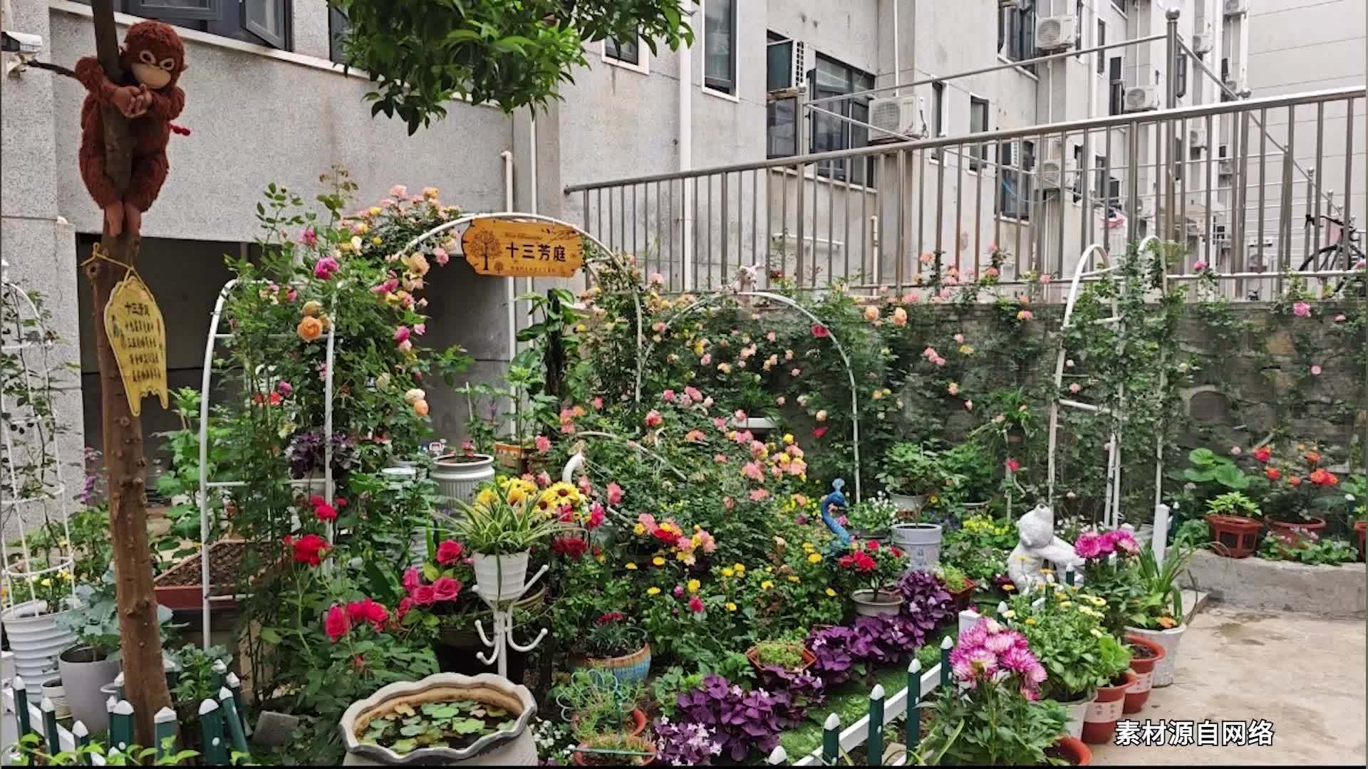 华科宿舍小花园被赞“豪华”，宿管阿姨：自己设计地砖，搬来十几袋土，从老家带种子