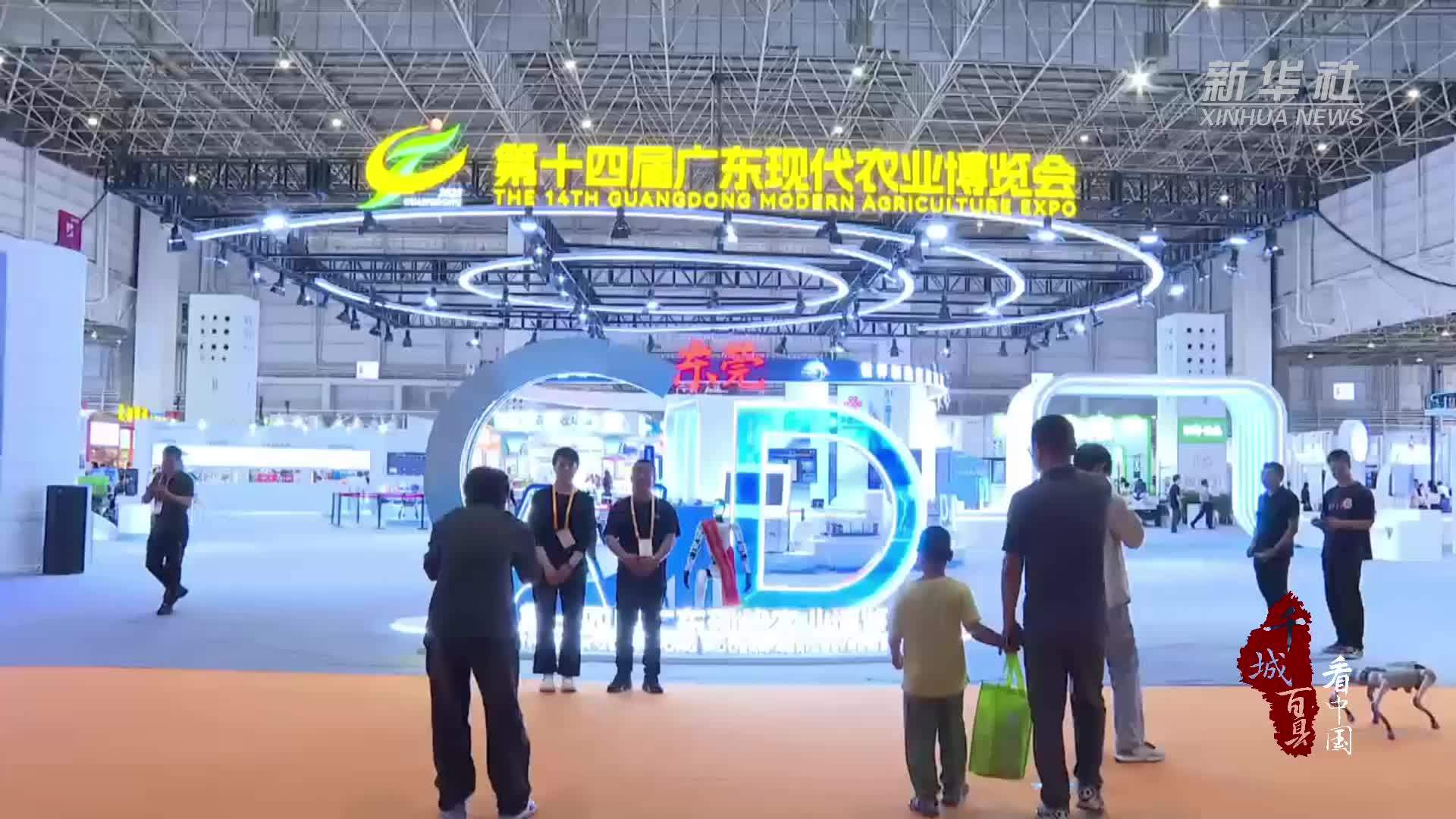 千城百县看中国｜广东：阳西程村蚝亮相广东农博会