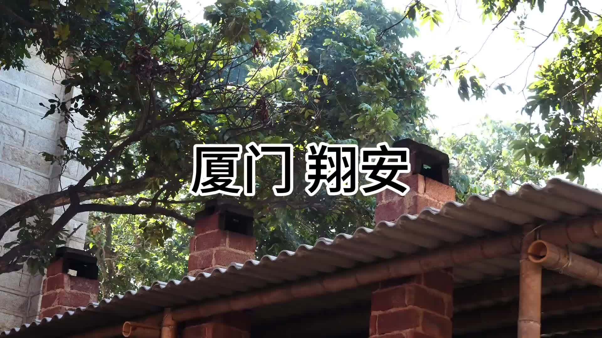 厦门翔安“特色”骡子肉，一罐280元，农家土灶台，大家看值不值