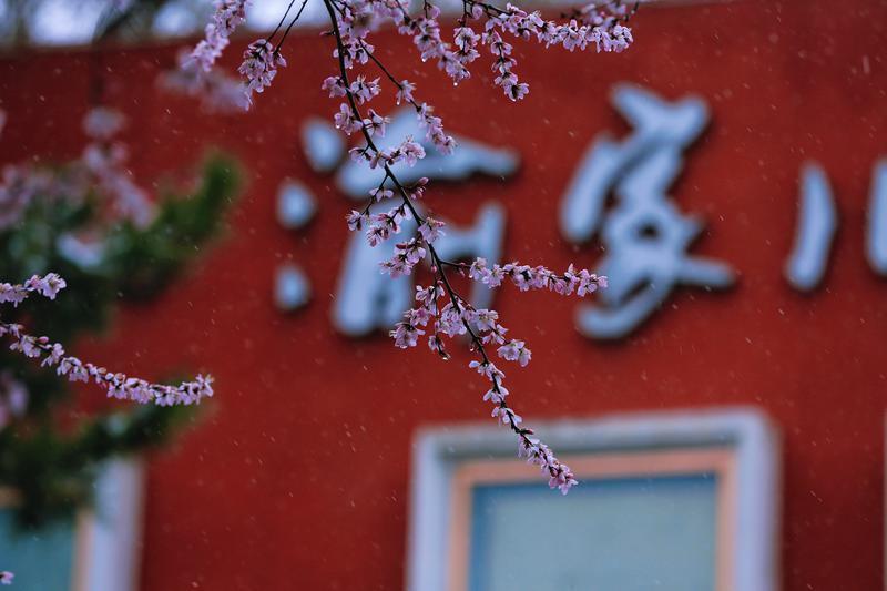 长春市春意满街巷