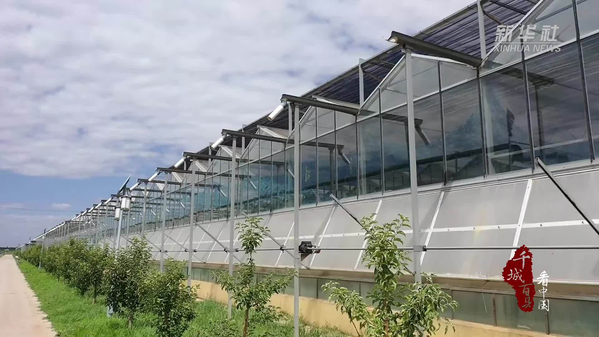 千城百县看中国｜内蒙古：解锁瓜果成熟的甜蜜惊喜