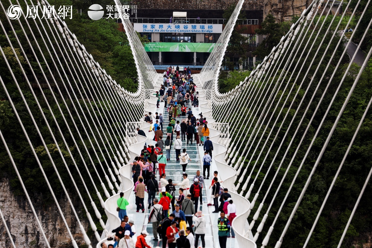 华人国学大典走进张家界,点亮AI时代的诗和远方