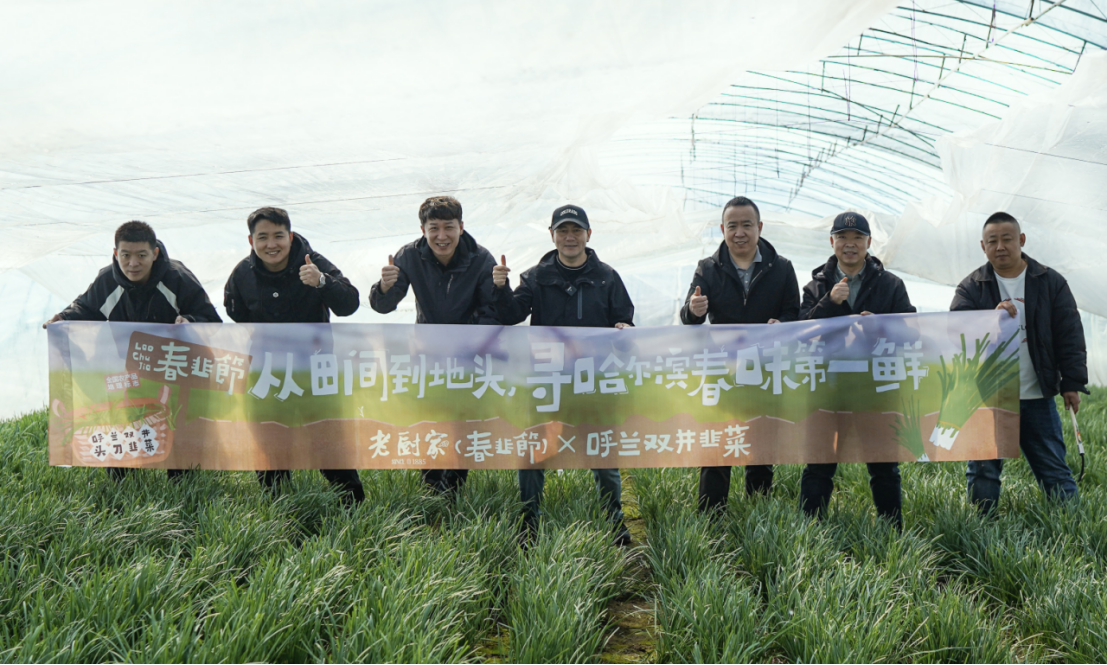 （老厨家团队 呼兰双井韭菜溯源之行）