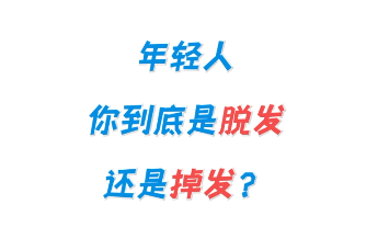 如何判断自己是脱发还是掉发？