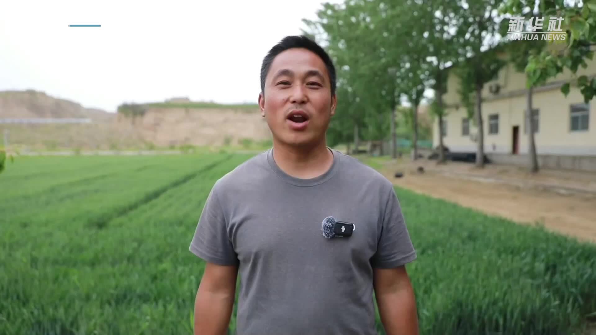 山西临猗：黄河甲鱼苗出塘受到市场青睐