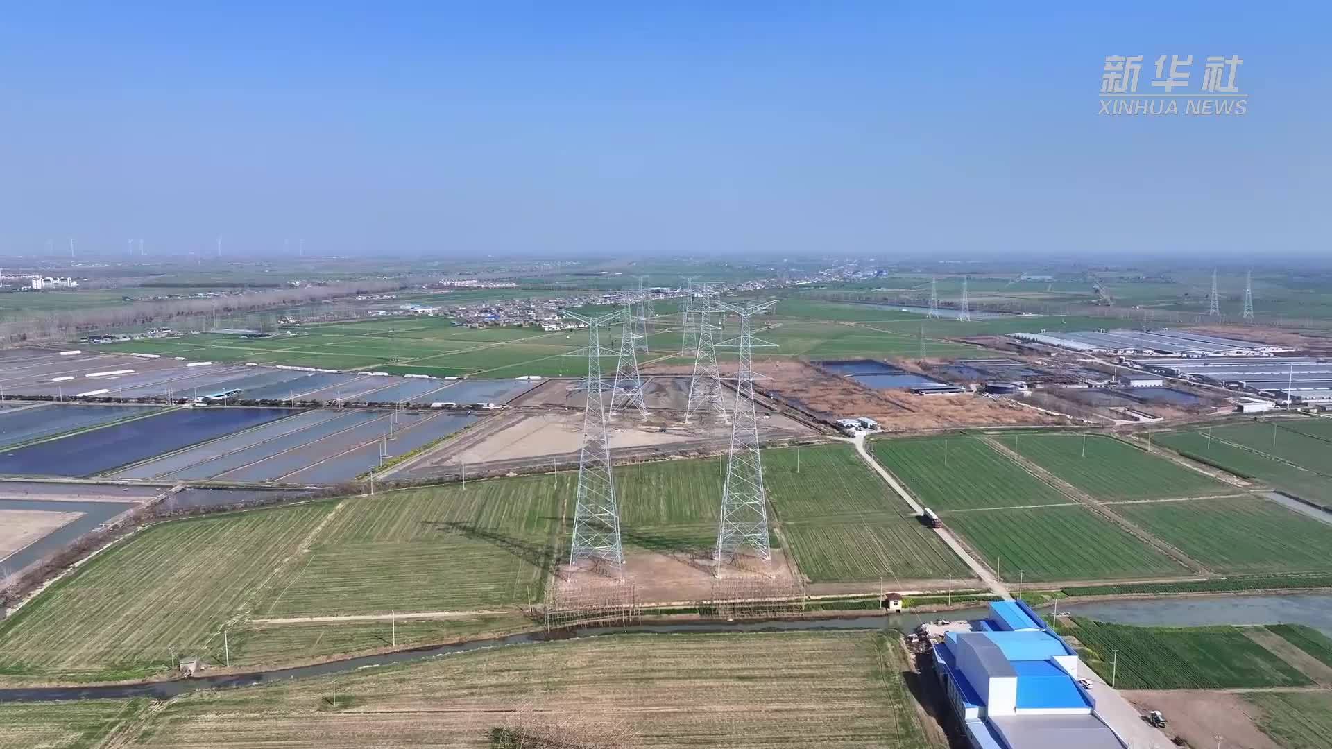 东方白鹳高空筑巢遇施工 江苏上演“静音护巢”行动