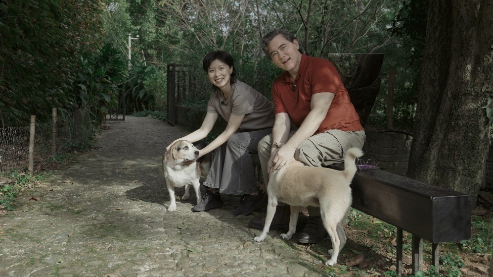 演员赵文瑄：我从不会勉强自己去社交敬酒应酬，不管是否合礼数