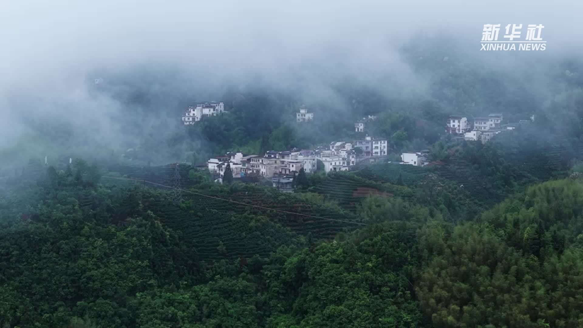 安徽黄山：雨后云海宛如一幅水墨画卷