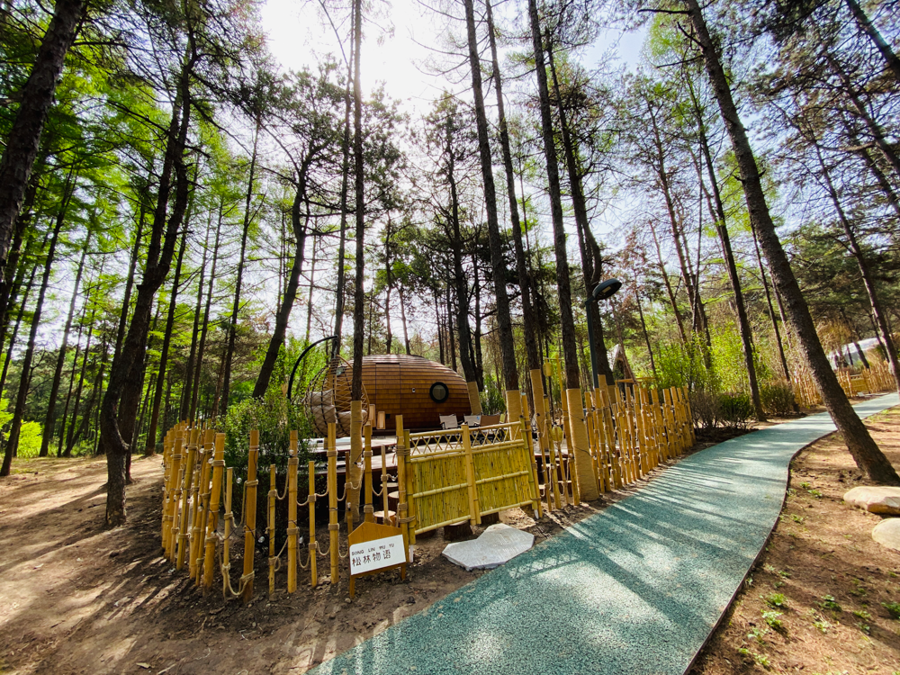 舒心度假，精彩森林——黑熊&middot;森林里度假区五一正式开园！