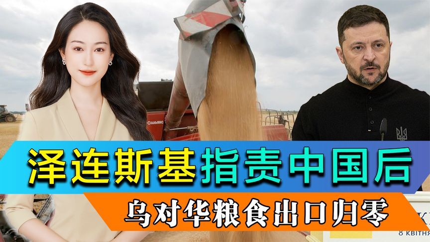 泽连斯基指责中国后，乌对华粮食出口归零，中方两句话说出真相