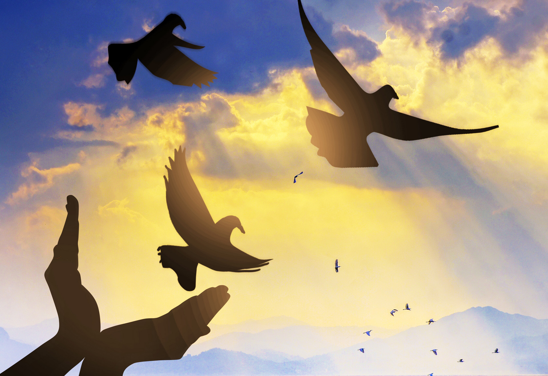 人与自然和谐共处 平度公安开展“爱鸟周”宣传活动