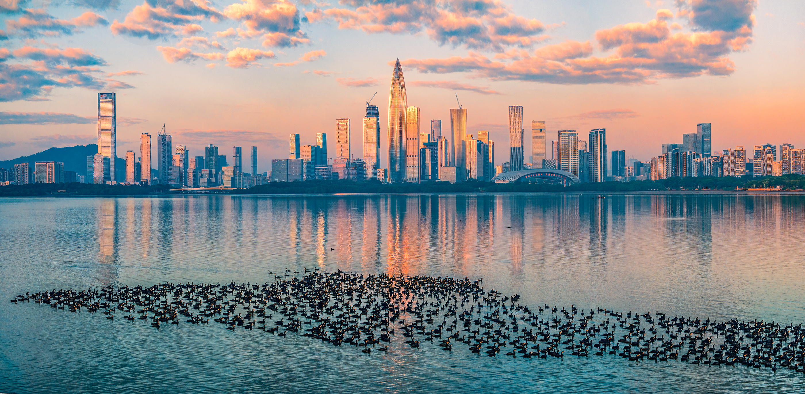 “我眼中的南山”获奖作品切图 《金色深圳湾》李新旺