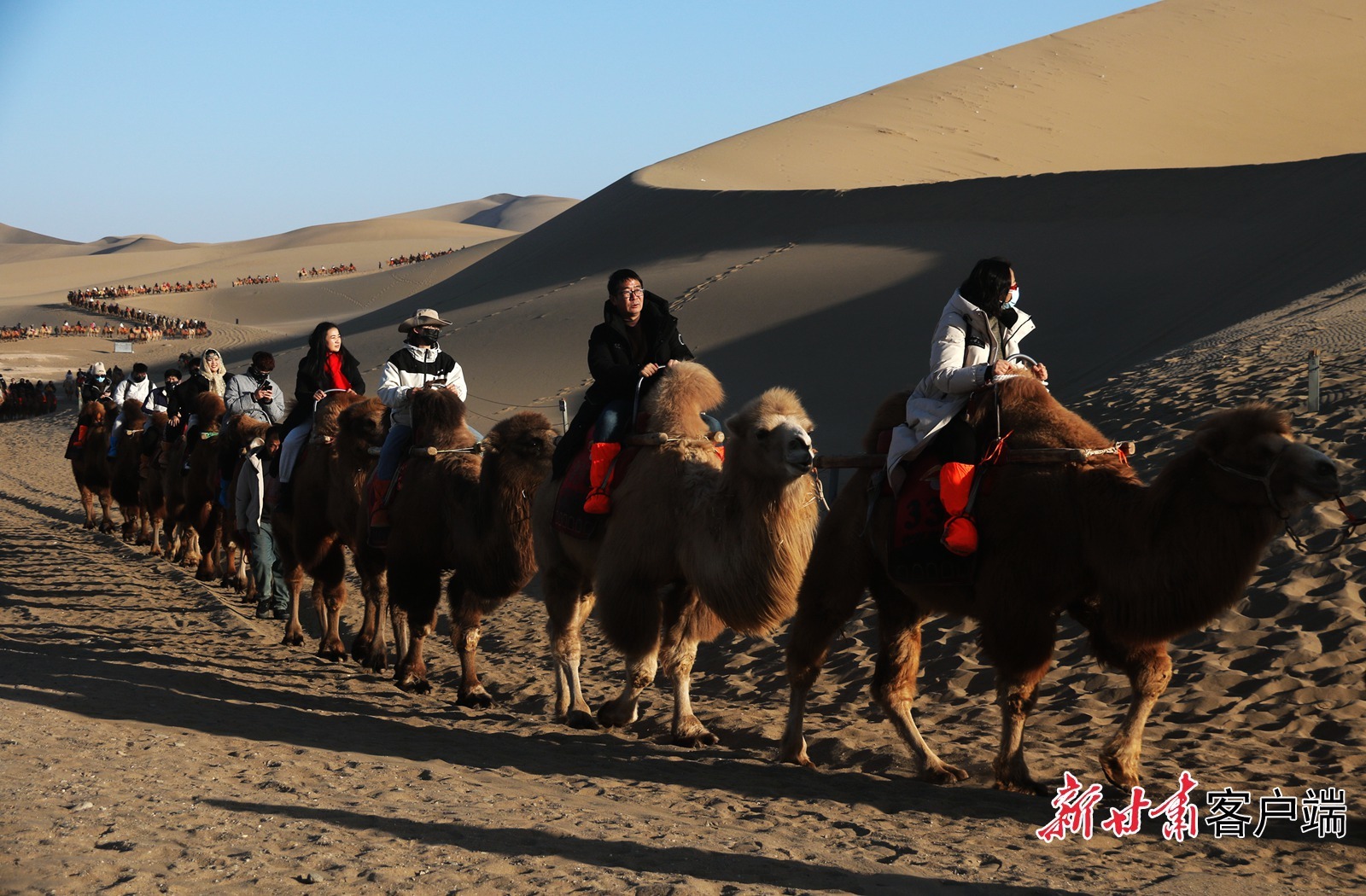 游客在鸣沙山月牙泉景区骑乘骆驼游览　新甘肃·甘肃日报通讯员　张晓亮　摄
