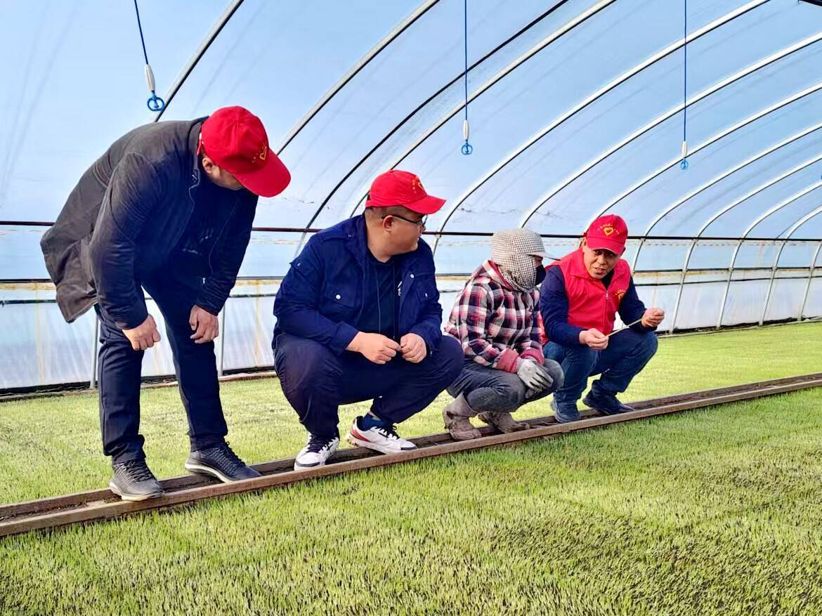 北大荒农业股份兴凯湖分公司:科技扎进黑土里 生态长在田地间