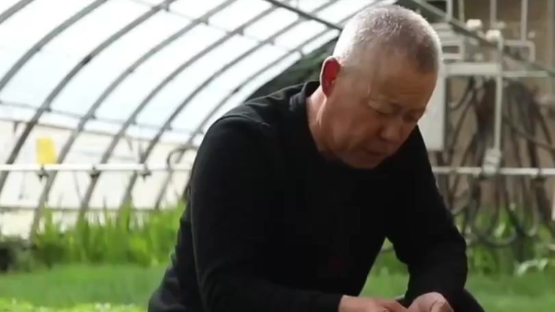 田间地头的他们丨“我想给荒山染上绿色！”