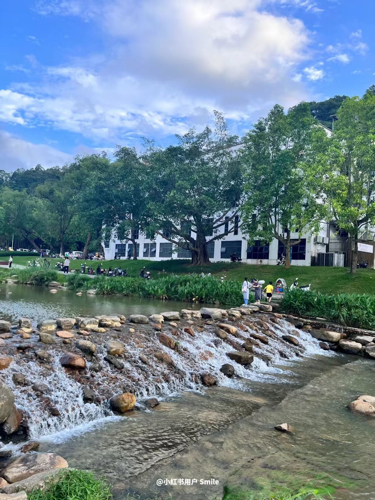 来这里，接住整个春天