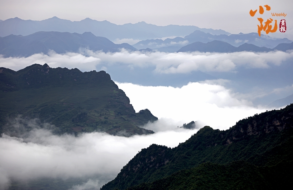陇南千坝草原:诗意云雾 一派原始风光