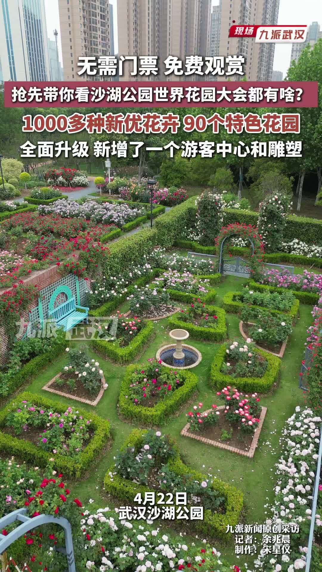 无需门票，免费观赏。抢先带你看沙湖公园世界花园大会都更新了啥？