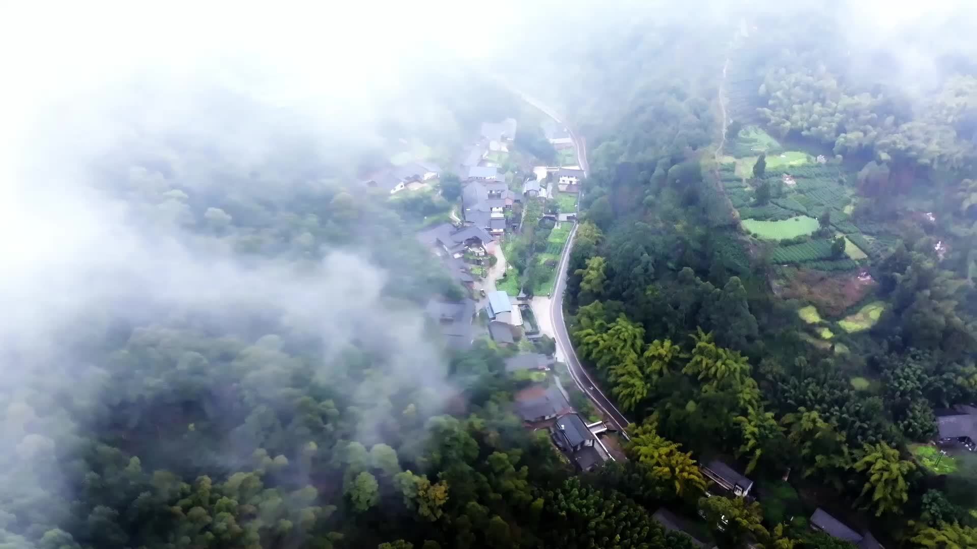非遗看中国｜千年竹纸绘蜀韵