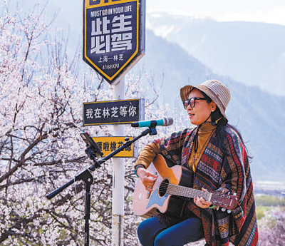 雪域桃源花灼灼（一朵花读懂一座城）