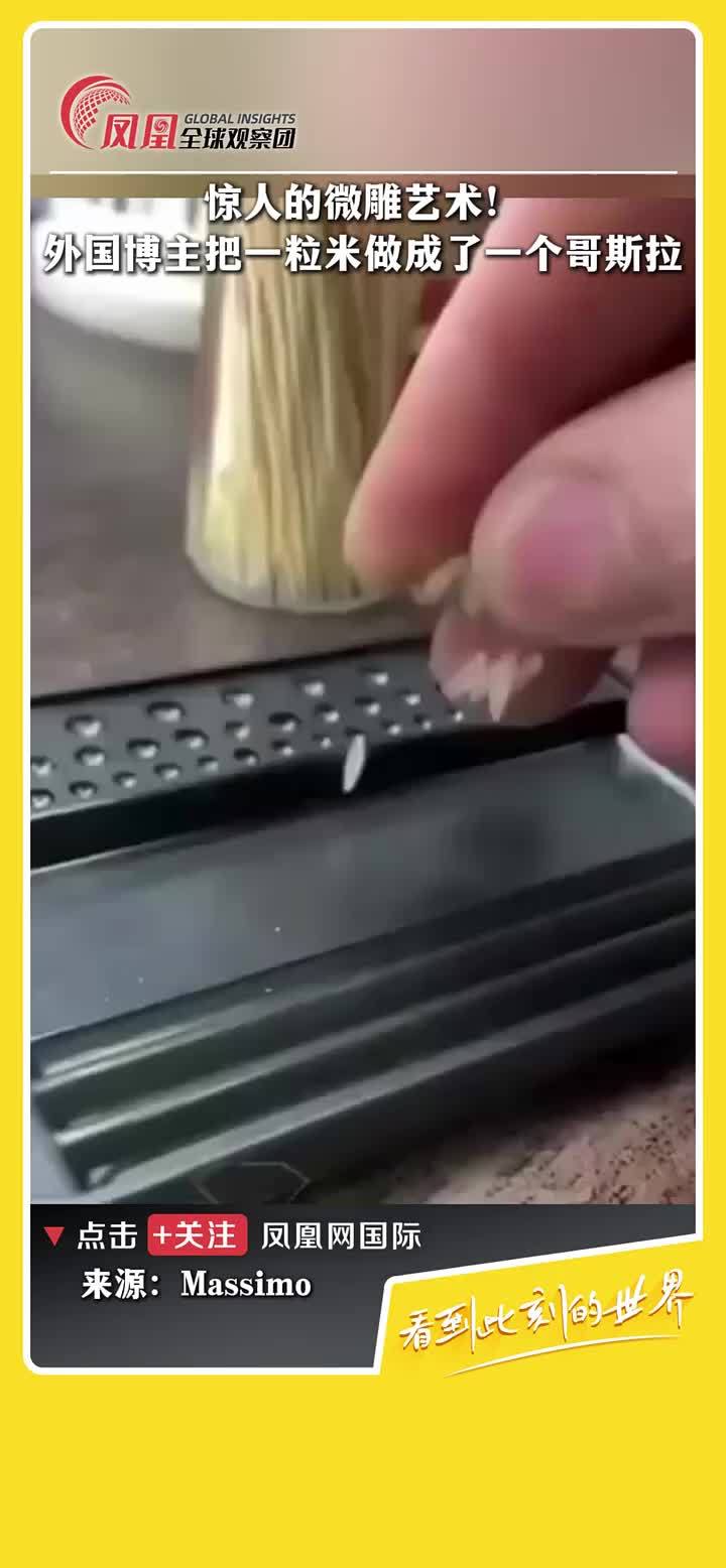 了不起的手艺人！外国博主用一粒米雕出个哥斯拉，栩栩如生。 #手工 #艺术 #微雕 #哥斯拉