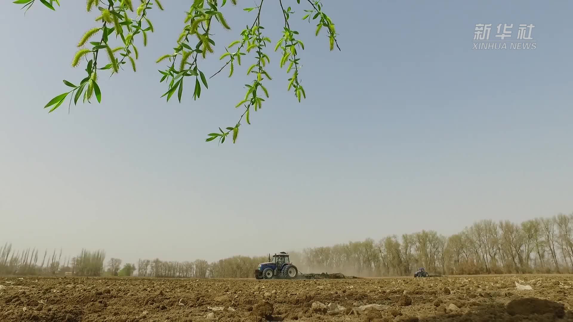 新疆春播进度过半 已播种各类农作物近4000万亩