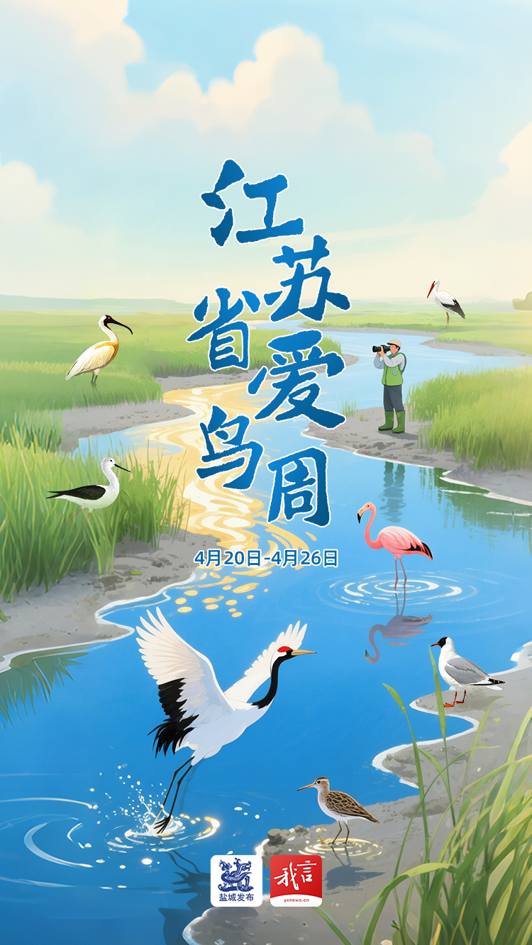 447种！盐城亮出新家底！