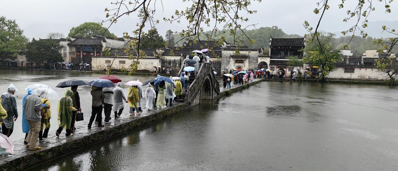 湖美师生在雨中参观宏村