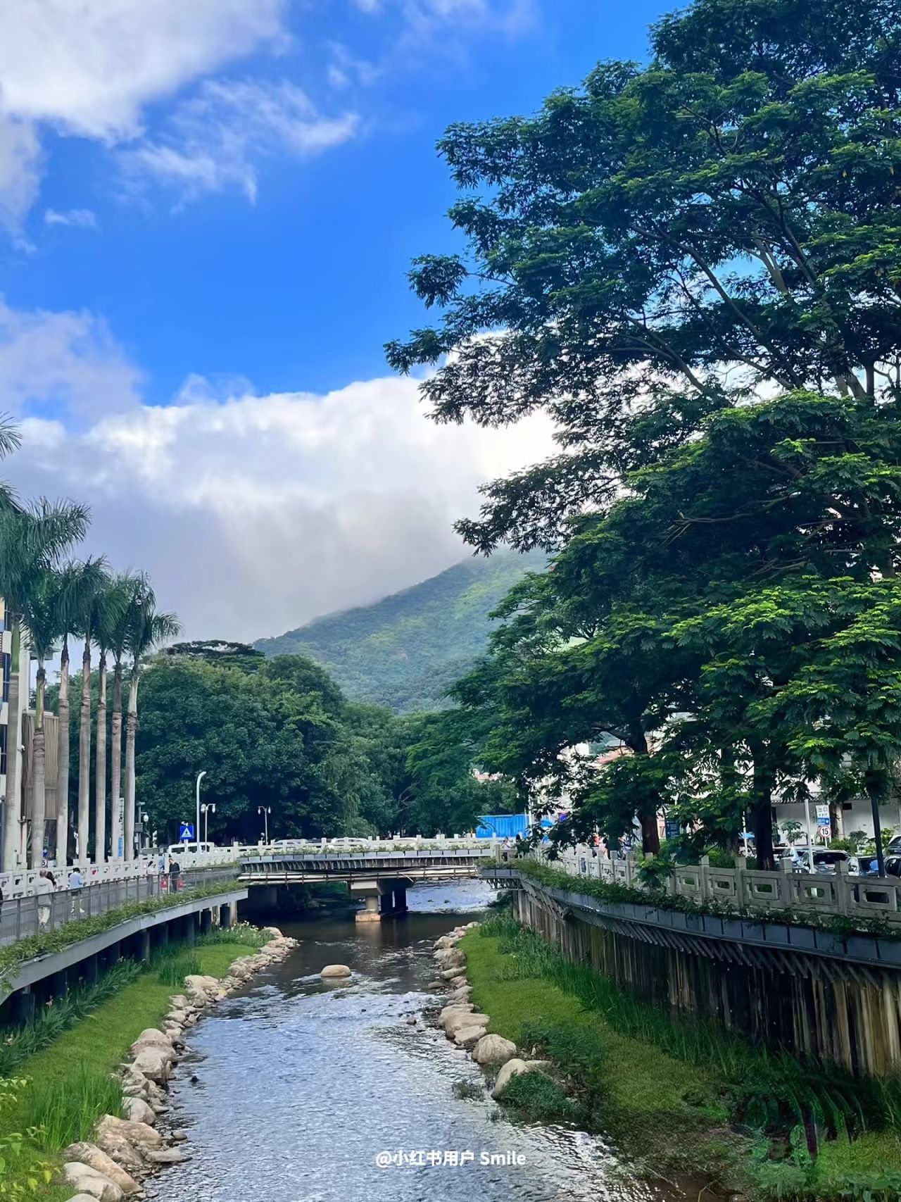 来这里，接住整个春天