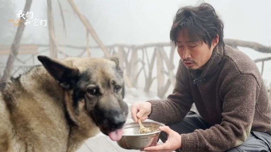 狗狗“希拉”查出恶性肿瘤，仅剩2个多月生命，主人崩溃大哭