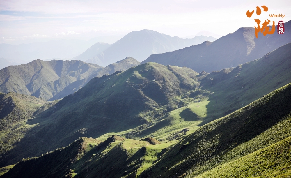 陇南千坝草原:诗意云雾 一派原始风光