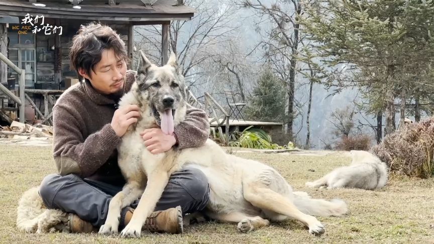 患癌的狗狗“希拉”状态骤降！极度虚弱的它为何执意离家出走？